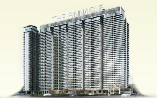 THE PINNACLE