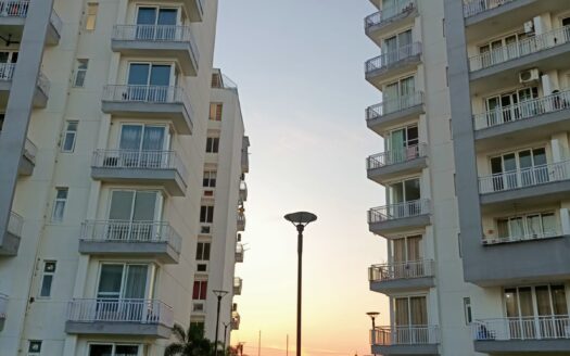 ONE RISE