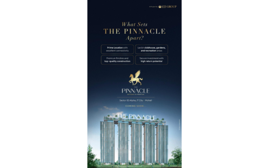 THE PINNACLE